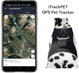 Wireless GPS Tracking Collars for Hunting Dogs Realtime Tracking Tool Size:M Wireless GPS Tracking Collars for Hunting Dogs Realtime Tracking Tool Size:M